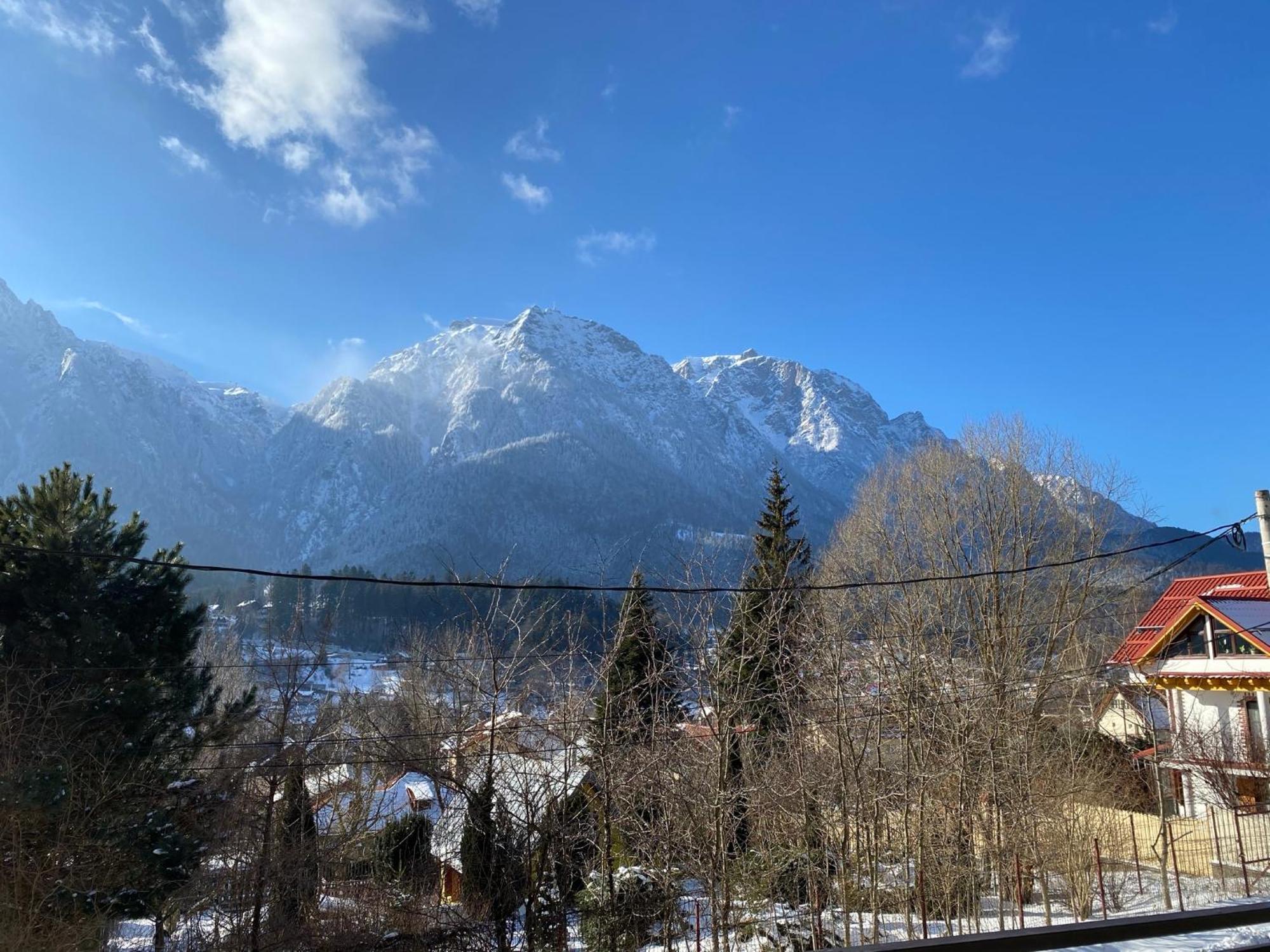 Casa Skadi Villa Buşteni Eksteriør bilde